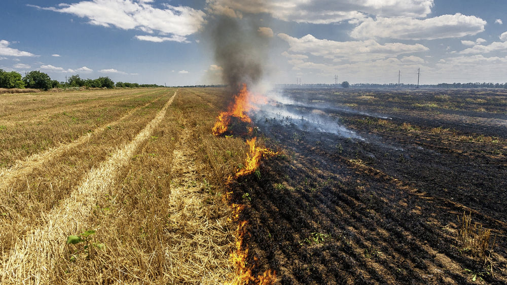 En 2022, 441 ha de terres cultivées ont été détruits par des incendies.